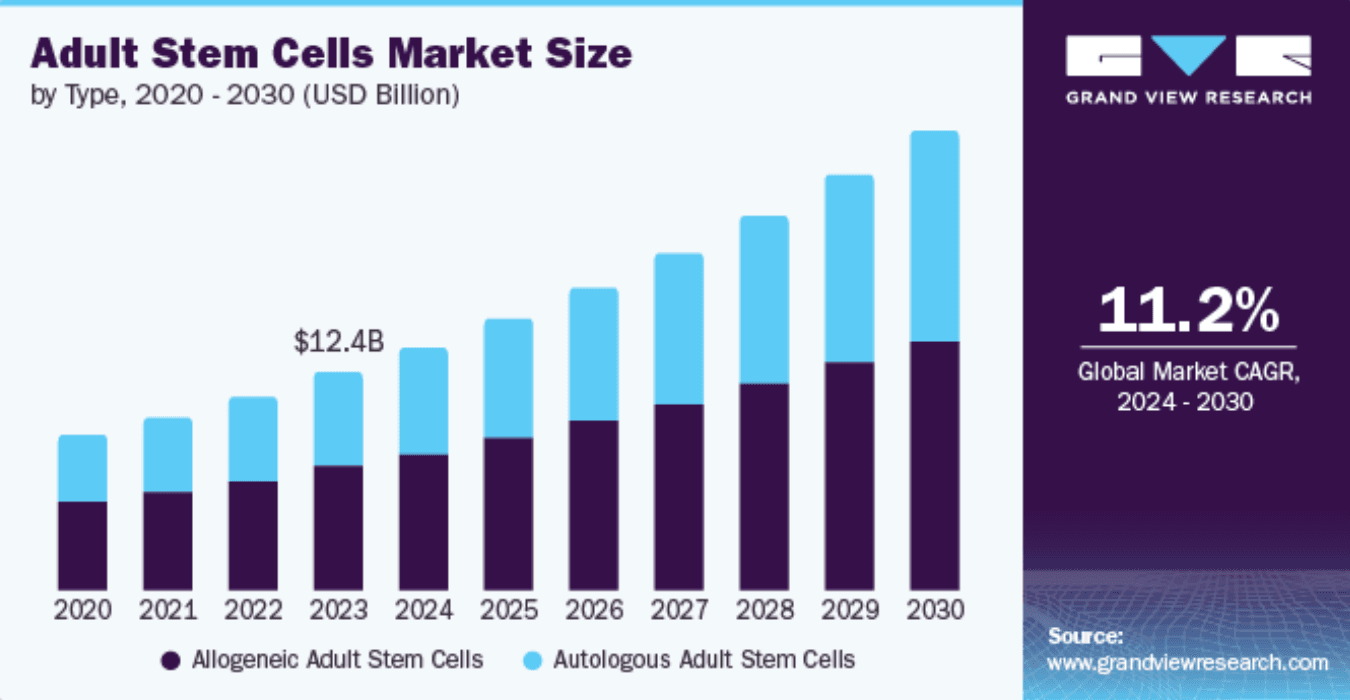 Adult Stem Cells Market Size Chart showing growth from 2020 to 2030
